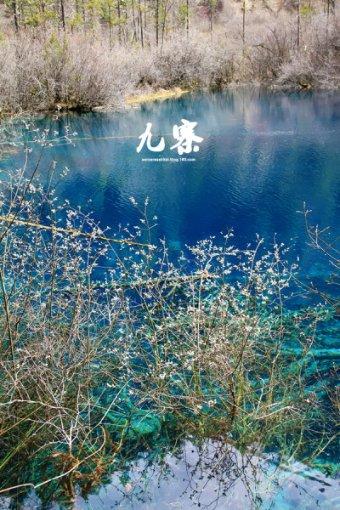 中国乒协乒乓球运动水平等级测试(试行)湖南省第11期举行